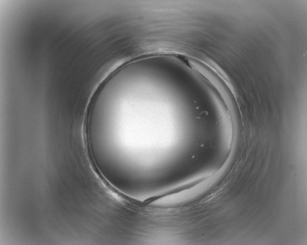 X0000069791293200606091733