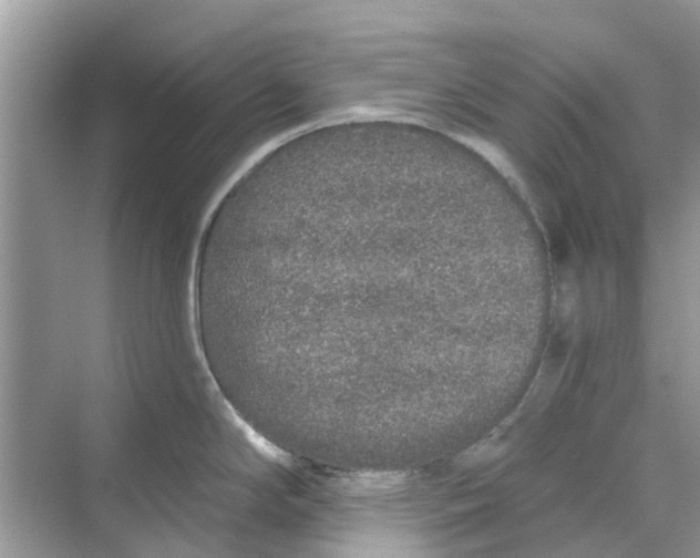 X0000069791294200606091733