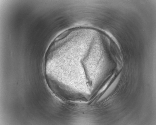 X0000069791295200606091733