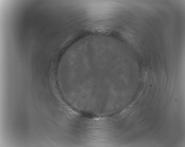 X0000069791297200606091732