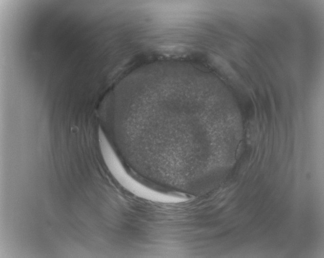 X0000069791298200606091732