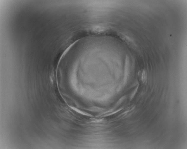 X0000069791299200606091732