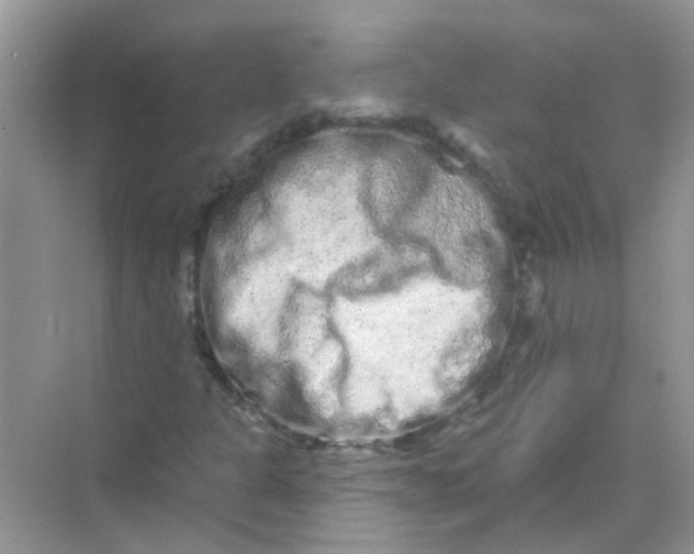 X0000069791301200606091732