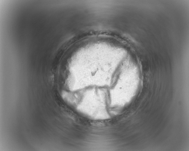 X0000069791302200606091732