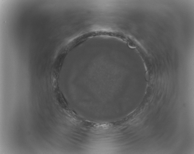 X0000069791303200606091732