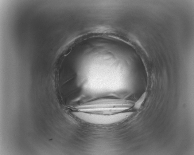 X0000069791304200606091732