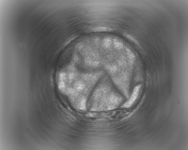 X0000069791305200606091732