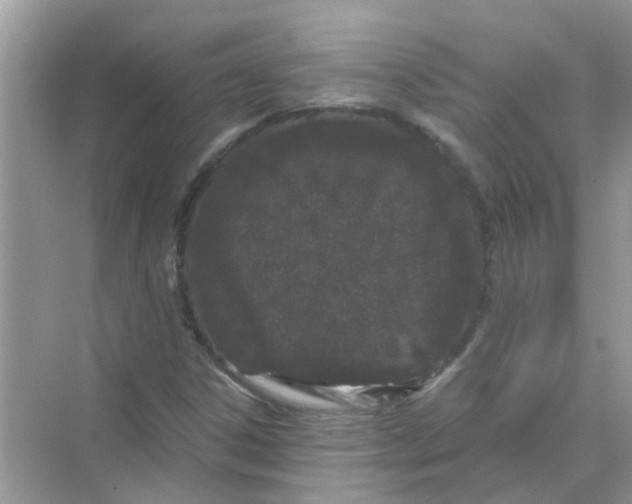 X0000069791306200606091732