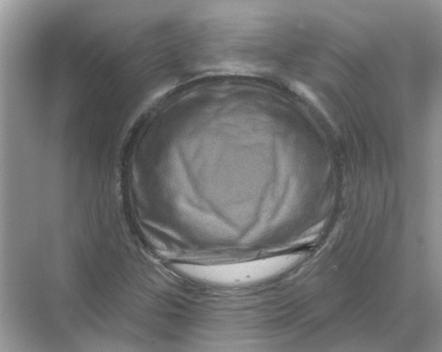 X0000069791307200606091732