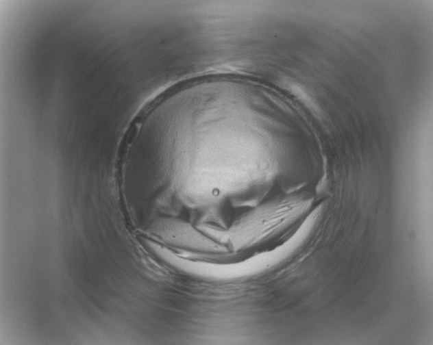 X0000069791308200606091732