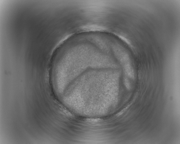 X0000069791309200606091732