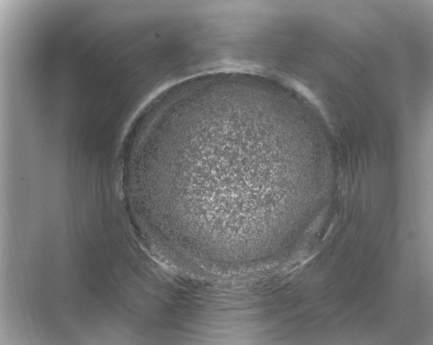 X0000069791310200606091732