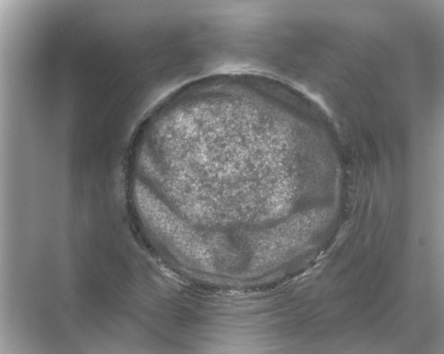 X0000069791311200606091733