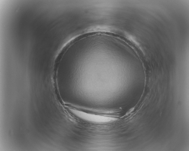 X0000069791312200606091733