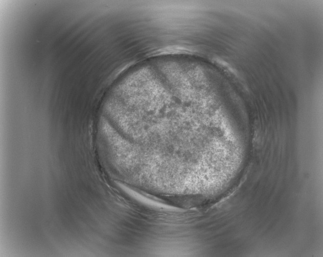 X0000069791313200606091733