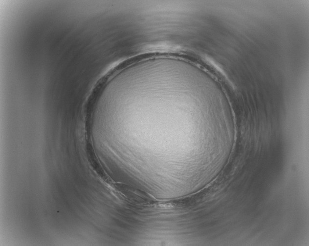 X0000069791315200606091733