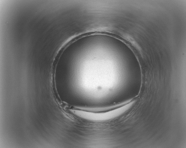 X0000069791316200606091733