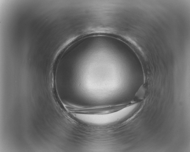 X0000069791317200606091733