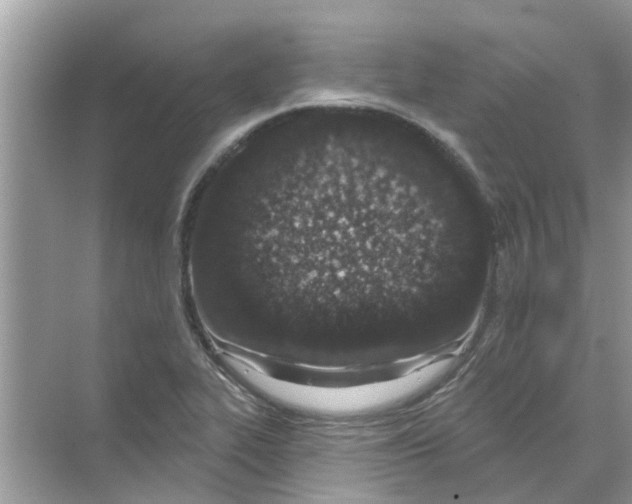 X0000069791319200606091733