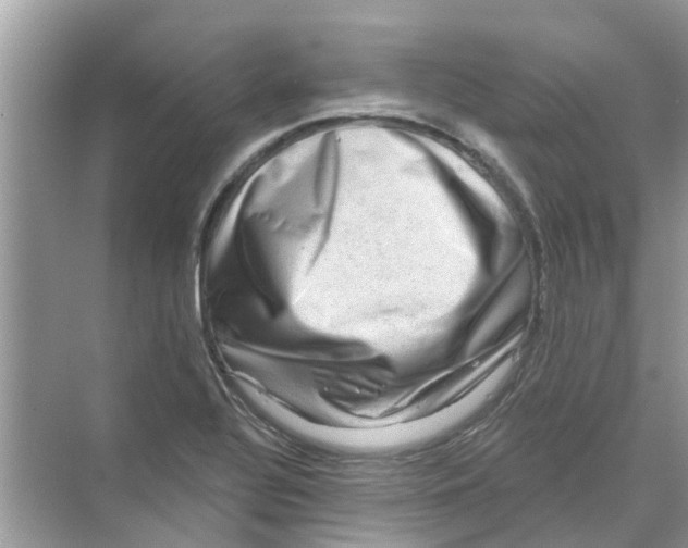 X0000069791320200606091733