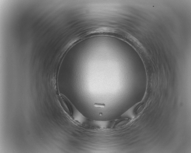 X0000069791321200606091733