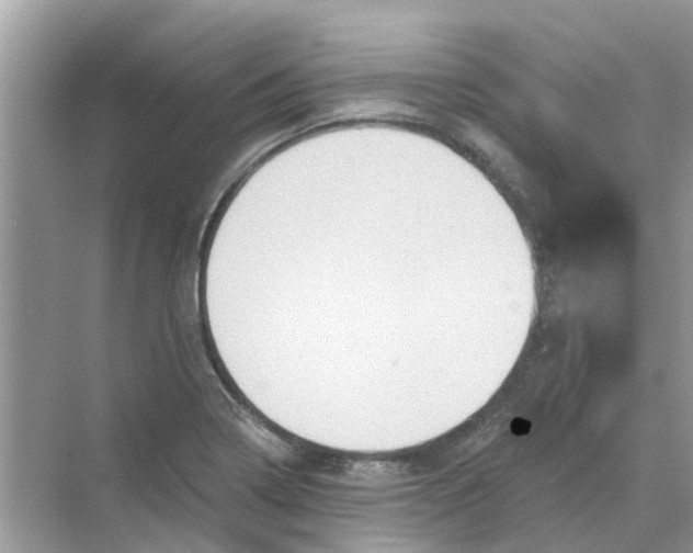 X0000069791322200606091733