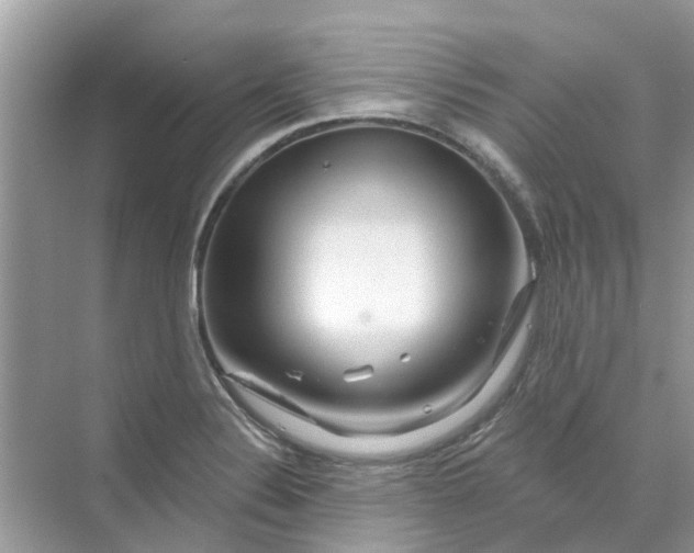 X0000069791324200606091733