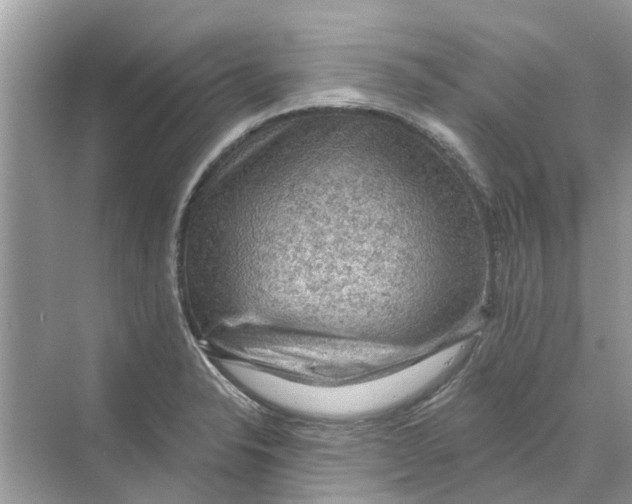 X0000069791326200606091733