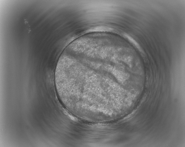 X0000069791329200606091733