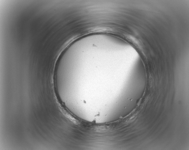 X0000069791330200606091733