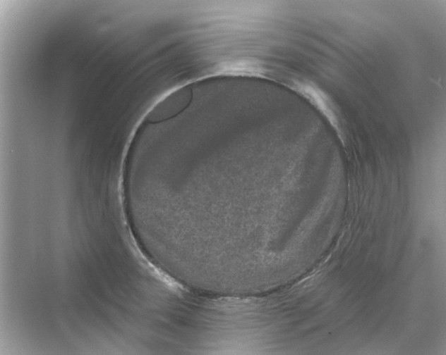 X0000069791331200606091733