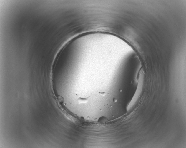 X0000069791332200606091733