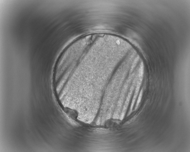 X0000069791333200606091733