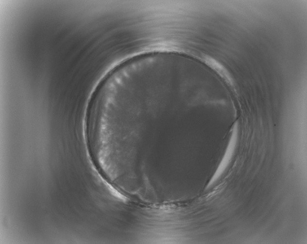 X0000069791334200606091733