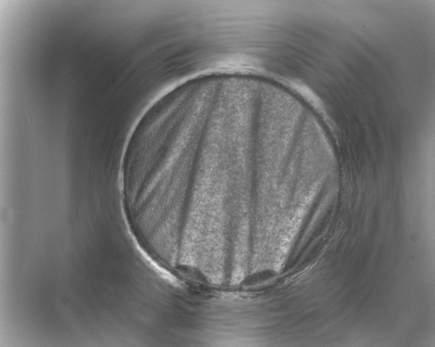 X0000069791335200606091733