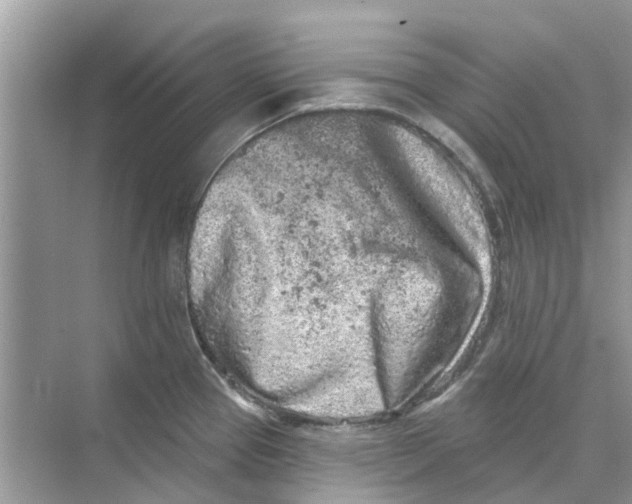 X0000069791337200606091733