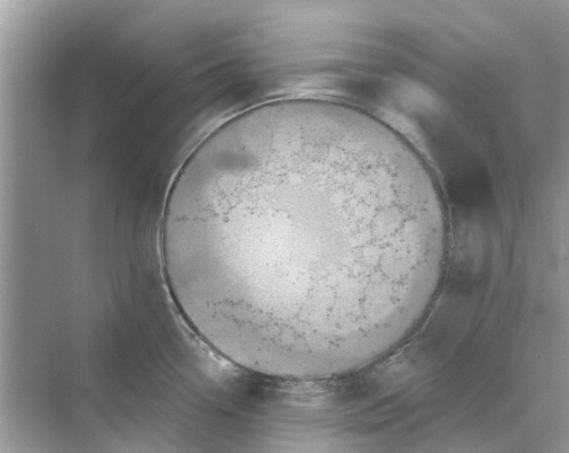 X0000069791338200606091733