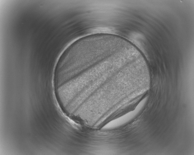 X0000069791339200606091733