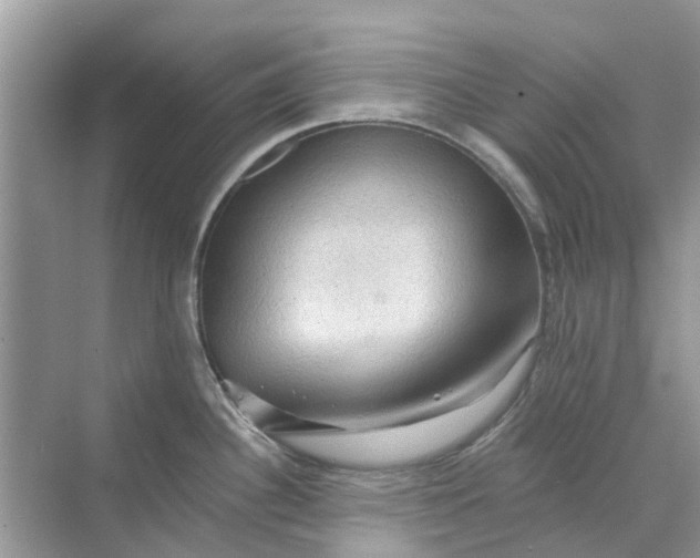 X0000069791340200606091733