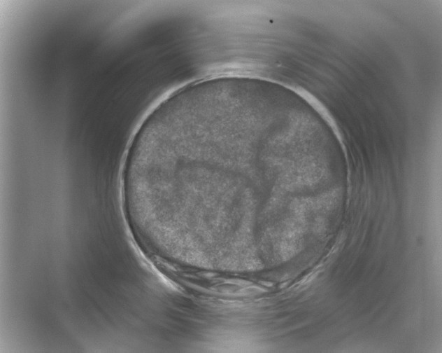 X0000069791341200606091733