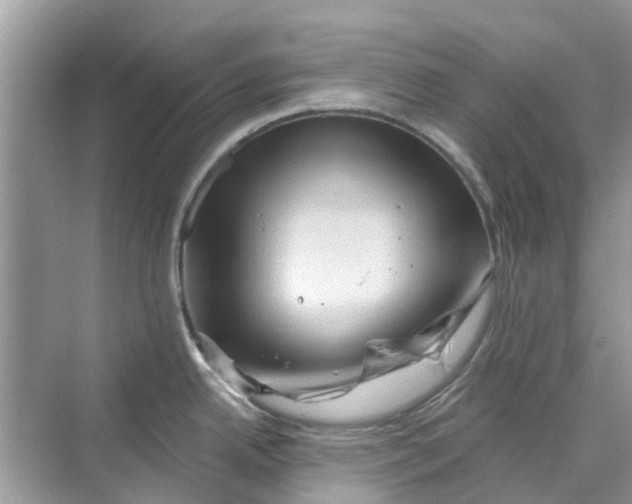 X0000069791342200606091733