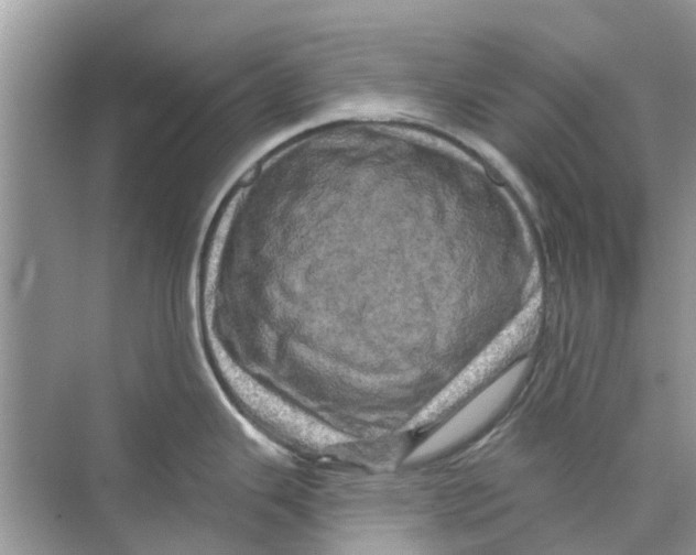 X0000069791343200606091733