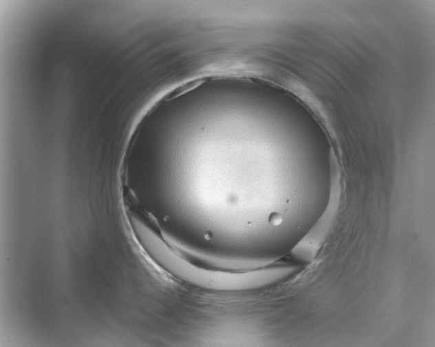 X0000069791344200606091733