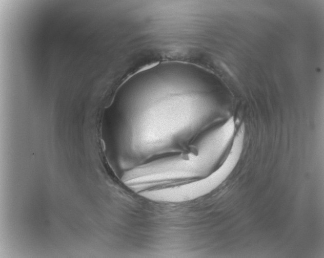 X0000069791345200606091732