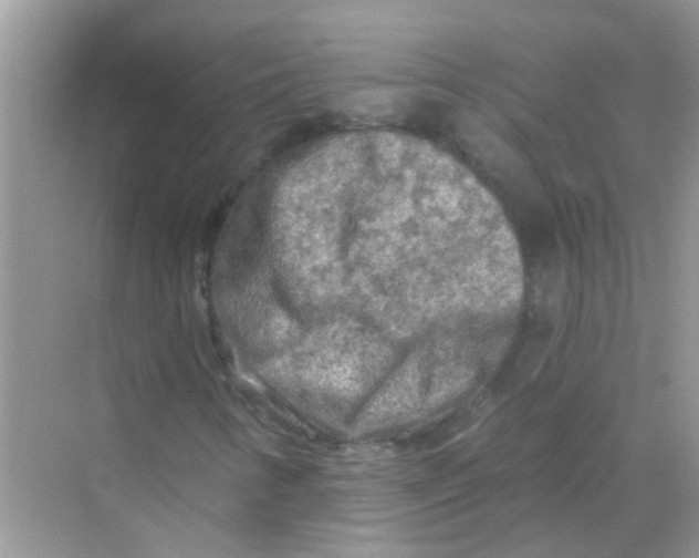 X0000069791346200606091732