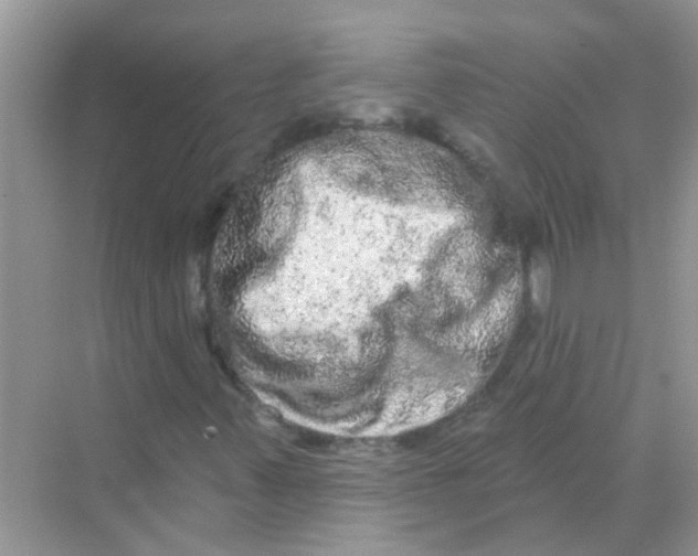 X0000069791347200606091732