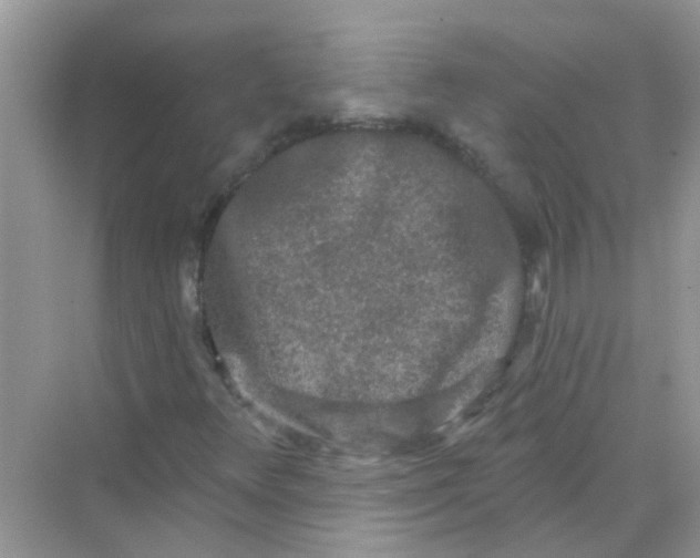 X0000069791348200606091732