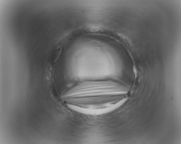 X0000069791349200606091732