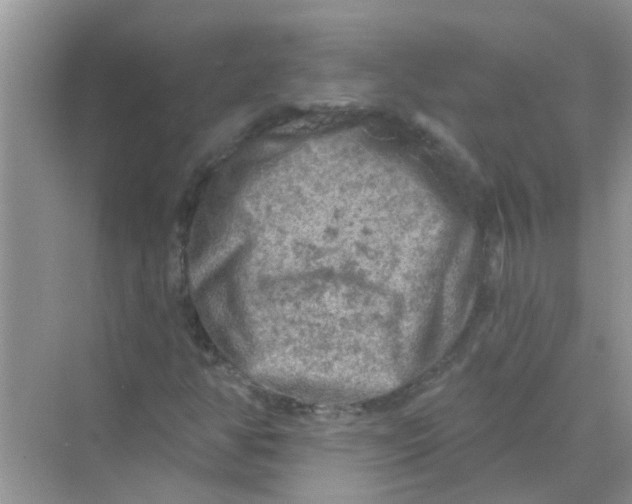 X0000069791350200606091732