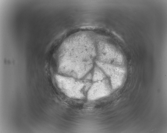 X0000069791351200606091732